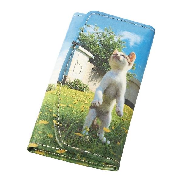 立ち猫 希望の立ち猫 キーケース TW1901(代引不可)【送料無料】 立ち猫 希望の立ち猫 キーケース TW1901 : 通信販売 ダブルネット