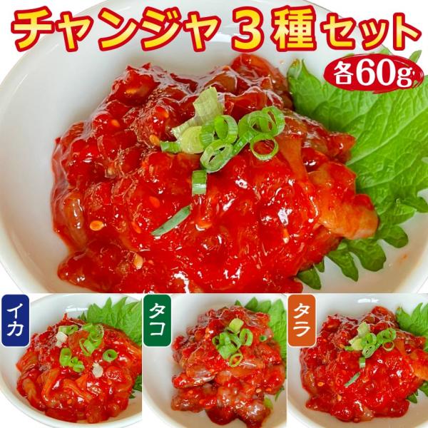 チャンジャ タラ チャンジャ タコ チャンジャ イカ チャンジャ 詰め合わせ 3種 セット 海鮮 キムチ 本場 韓国 おつまみ チャンジャ