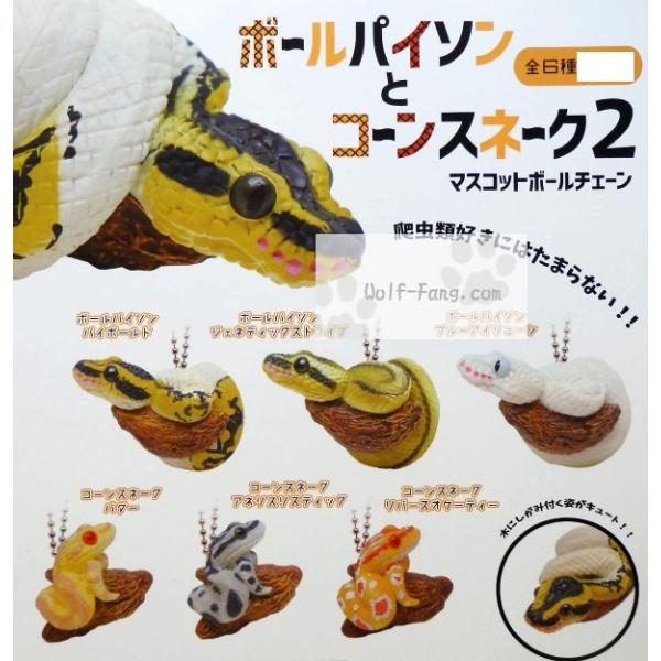 ボールパイソンとコーンスネーク ボールチェーン２ 全６種 定形外発送可 配送累計 １セット分まで Buyee 日本代购平台 产品购物网站大全 Buyee一站式代购 Bot Online