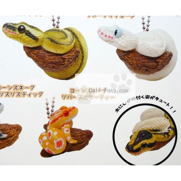 ボールパイソンとコーンスネーク ボールチェーン２ 全６種 定形外発送可 配送累計 １セット分まで Buyee Buyee Jasa Perwakilan Pembelian Barang Online Di Jepang