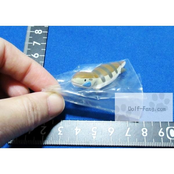 ハグコット はちゅこっと2 アオジタトカゲ 定形外発送可 配送累計 シリーズ1セット分まで Hagucot Hachucot2 3 Wolf Fang Com 通販 Yahoo ショッピング