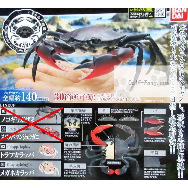 いきもの大図鑑 かに 2種 定形外発送可 配送累計 1セット分まで Kani 2 Wolf Fang Com 通販 Yahoo ショッピング