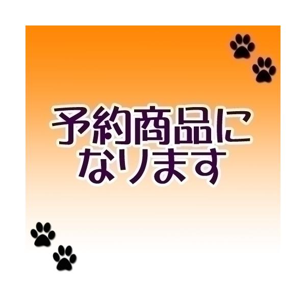 [Release date: April 1, 2026]※※ご予約の諸注意※※・入荷時期の変動が激しいため、一律下旬発売に設定しております。入荷後は速やかに発送致します。・メーカーの都合により発売予定の変更や発売中止、ラインナップが変更に...