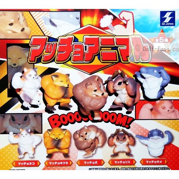 マッチョアニマル 全５種 定形外発送可 配送累計 １セット分まで Buyee Buyee Japanese Proxy Service Buy From Japan Bot Online