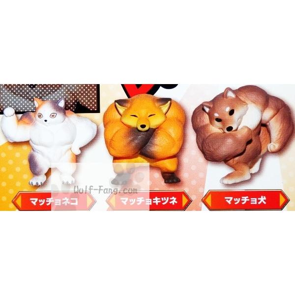 マッチョアニマル 全５種 定形外発送可 配送累計 １セット分まで Buyee Buyee Japanese Proxy Service Buy From Japan Bot Online