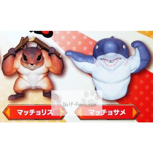 マッチョアニマル 全５種 定形外発送可 配送累計 １セット分まで Buyee Buyee Japanese Proxy Service Buy From Japan Bot Online