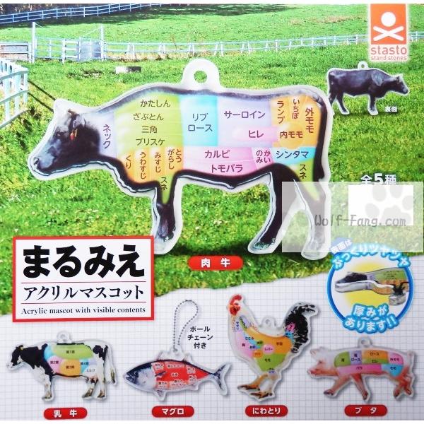 まるみえアクリルマスコット 全５種 定形外発送可 配送累計 ２セット分まで Buyee Buyee 日本の通販商品 オークションの代理入札 代理購入