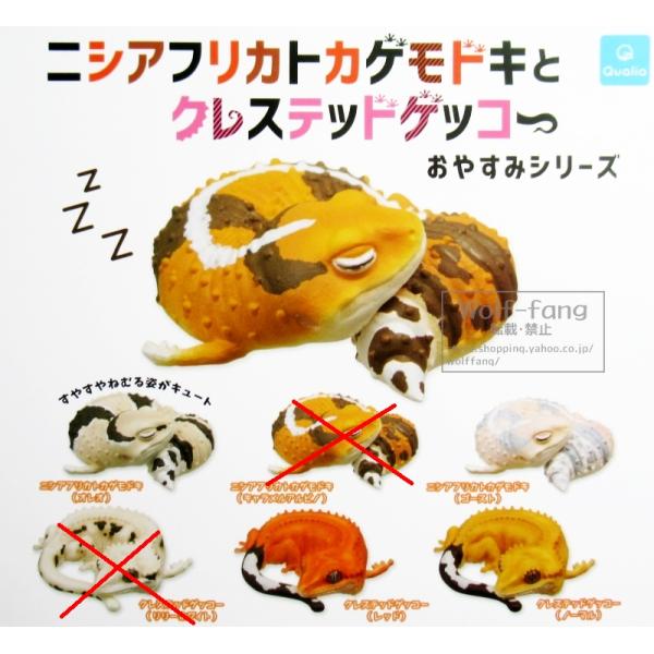 ニシアフリカトカゲモドキとクレステッドゲッコー おやすみシリーズ 4種 （定形外発送可 一配送累計 2セット分まで）