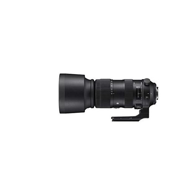 SIGMA 60-600mm Sports レンズ Canon EFマウント Amazon | Sigma 60-600mm F4.5-6.3 DG OS HSM スポーツカメラ