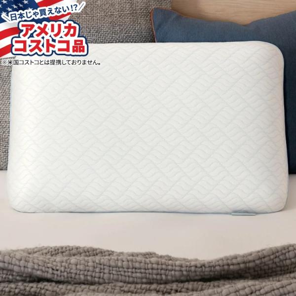 ソフトニットカバーは、温度調節と通気性を高めるために設計された高性能生地を採用しています。枕サポート: 中あらゆる睡眠姿勢をサポート簡単にジップできる冷却カバーは洗濯機で洗えて乾燥機も使用可能標準サイズ: 24インチ x 16インチ低アレルギー性