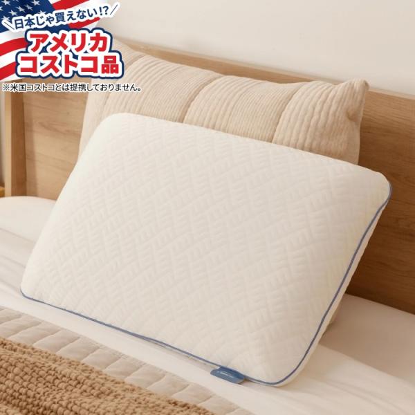 テンピュール・ペディック?の科学者が開発したプレミアムメモリーフォーム圧力緩和とパーソナライズされた快適さを実現枕サポート: 中程度のサポート低アレルギー性取り外し可能なカバー洗濯機で洗えます - カバーのみ