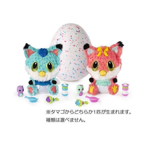 トイザらス限定 うまれて ウーモ ベイビー フォキシー 596394 4904810596394 の最安値と通販店 取扱店なし サープラ