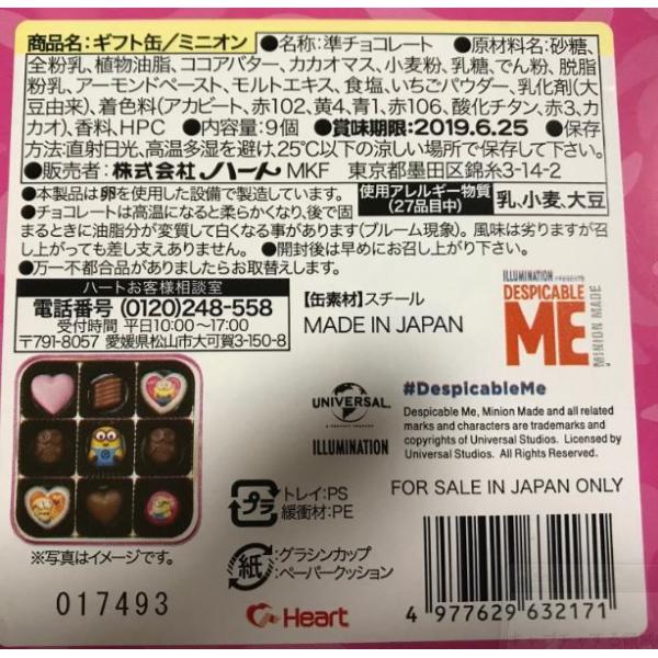 ミニオン チョコギフト缶 バレンタインデー ホワイトデー おすすめ 新品 キャンセル不可 Buyee 日本代购平台 产品购物网站大全 Buyee一站式代购 Bot Online