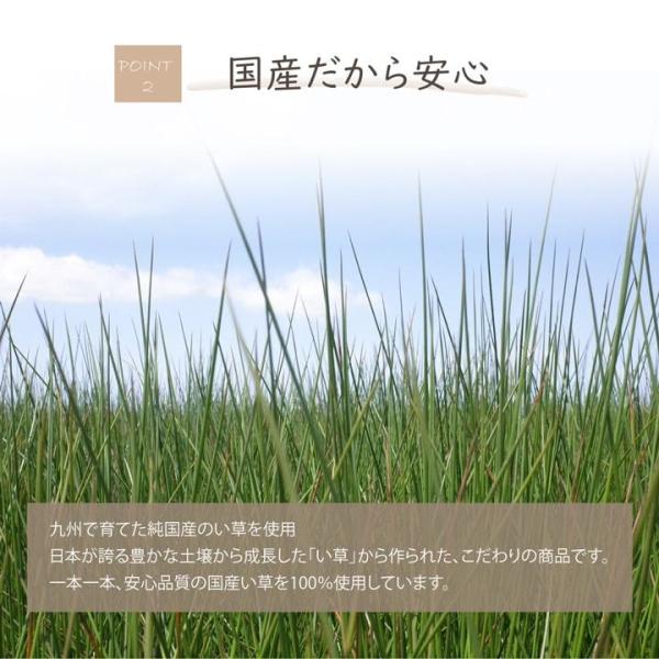 消臭剤 自然の香り 天然 日本製 い草 100 持続性のある消臭効果 水や肥料いらず 吸湿効果 国産 ペット臭 トイレ臭 臭い成分を吸着 分解 日陰干しして再生 幅10 ワンダフルマートヤフー店 通販 Yahoo ショッピング