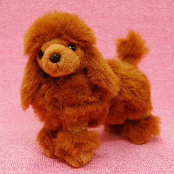 WCgʂ݁iv[hj G݁@ObY @v[g@蕨