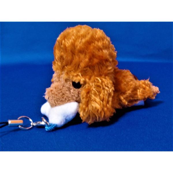 ςCLUBXgbv(v[hj@@G݁Ev[g