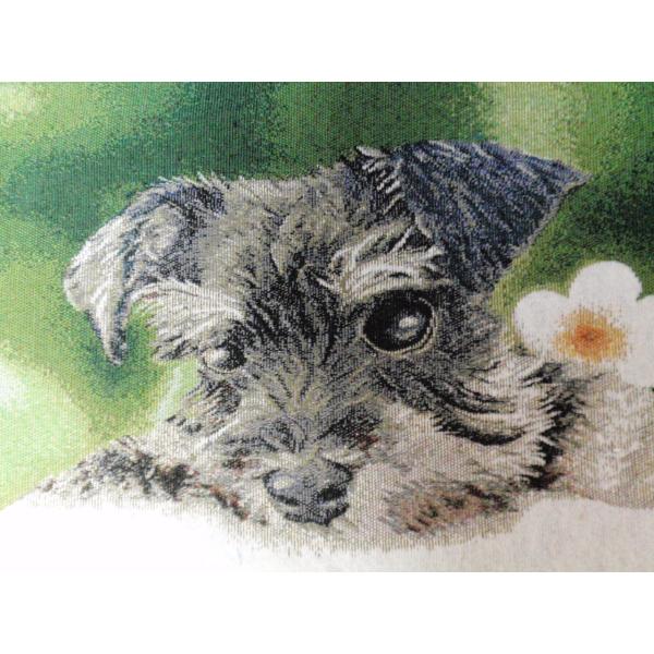 ViEU[@WK[hD胉`}bg@  G݁@v[g