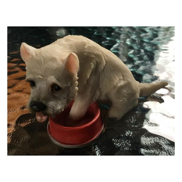 EFXeB@withHM@@tBMA@@u@G݁@Mtg