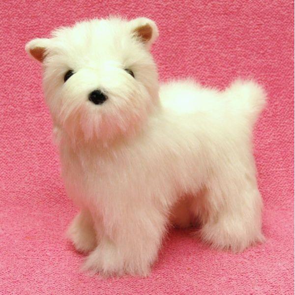 WCgʂ݁iEFXeBj G݁@ObY @v[g@蕨