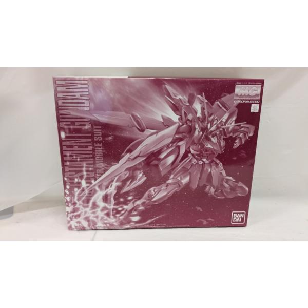 中古】【未組立】1/100 MG ZGMF-X12A/RGX-00 テスタメントガンダム