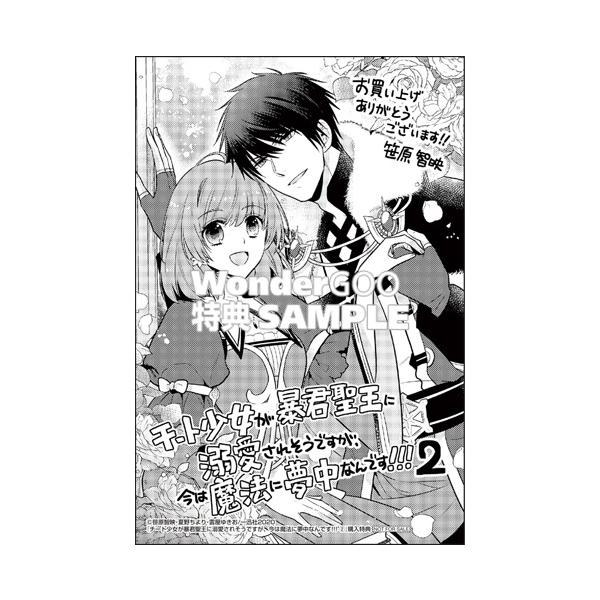 特典付 チート少女が暴君聖王に溺愛されそうですが 今は魔法に夢中なんです 2巻 コミック Z 1224 新星堂wondergoo Yahoo 店 通販 Yahoo ショッピング