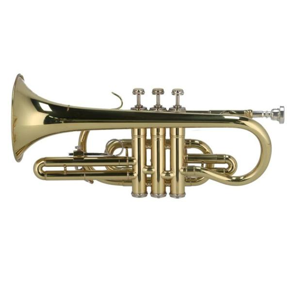 商品説明ブランド PLAY TECH商品名 コルネット型番 PTCR-200シリアル/製造No J9 0286状態ランク Bランク/スレ、汚れなど使用感はありますが、通常使用に問題のない状態です。付属品 付属品の有無/有　内容は画像で確認く...