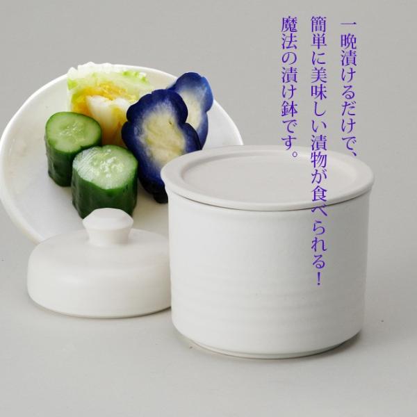 My ֈДiWj Е Д My 炫 WE }CiXCI Е@