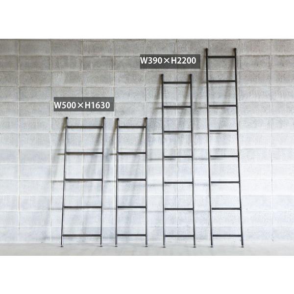 ACA_[ Ċ|VFt ͂VFt LADDER 39 50