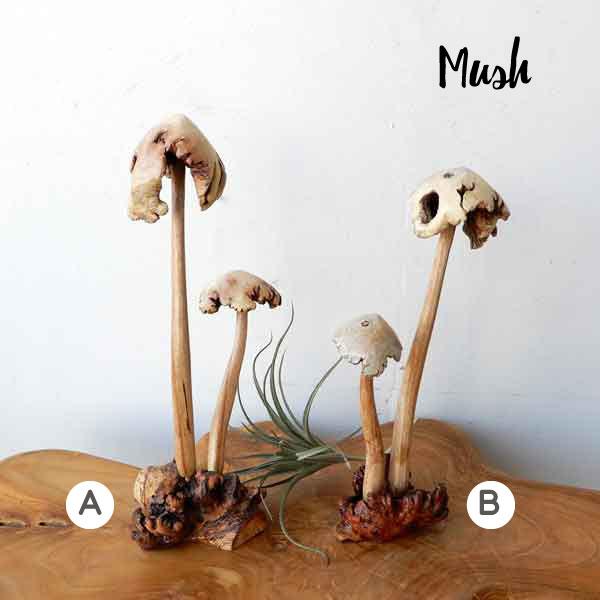 Mush きのこ キノコ オブジェ 置物 木のオブジェ ディスプレイ