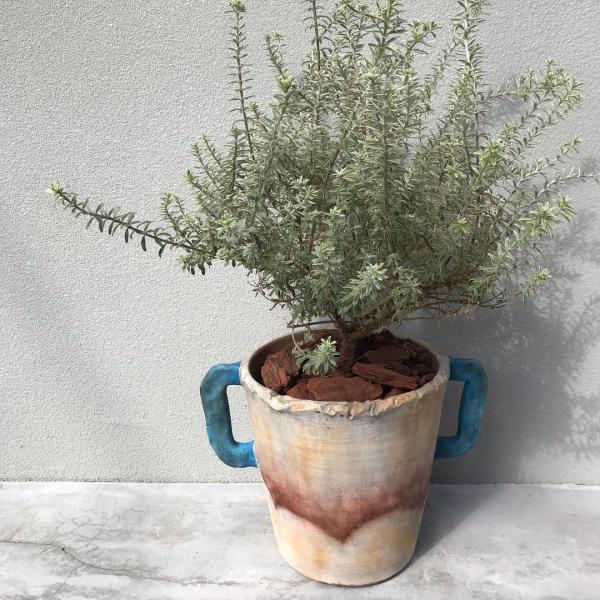 v^[Jo[ vcJo[ Jo[ ϗtA R5p Aؔ eRb^ ChEEFXg EGX^