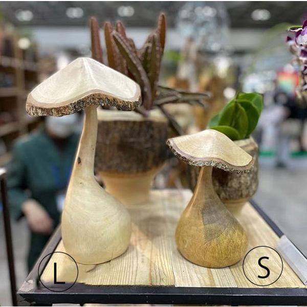 IuWF u ̂ LmR }S[Ebh  CeA fBXvC }bV[