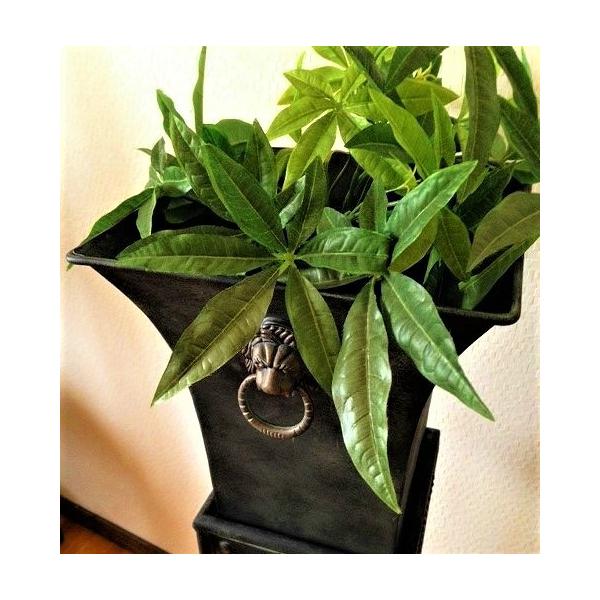 プランター アンティーク風 アイアン フラワーポット ライオン