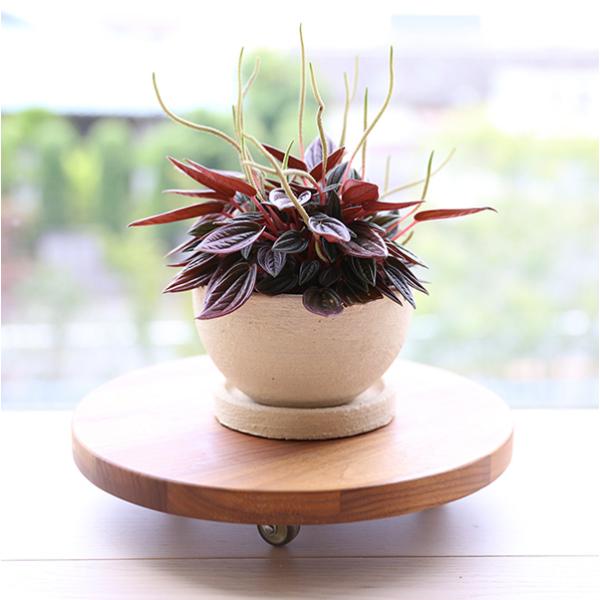 v^[ v^[L[ T[N  ~ ؐ C  EH[ibg I[N A_[  LX^[t ڂ 29cm