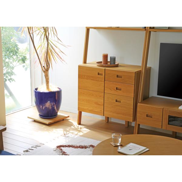 v^[ v^[L[ XNGA lp ` ؐ C  EH[ibg I[N A_[  LX^[t ڂ