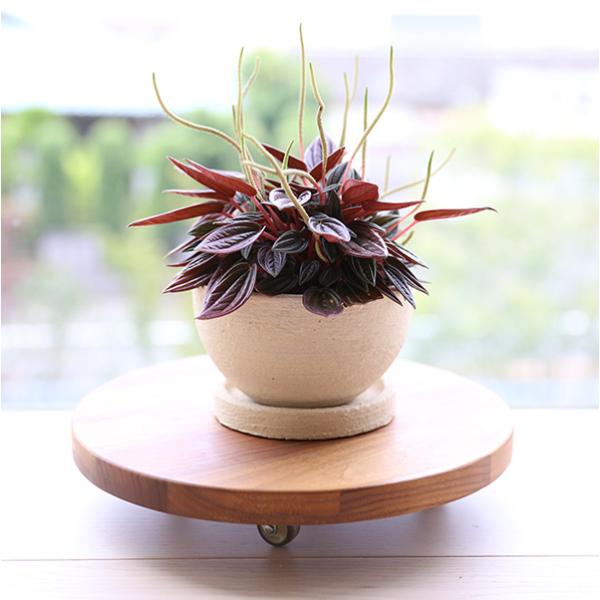 v^[ v^[L[ T[N  ~ ؐ C  EH[ibg I[N A_[  LX^[t ڂ@24cm