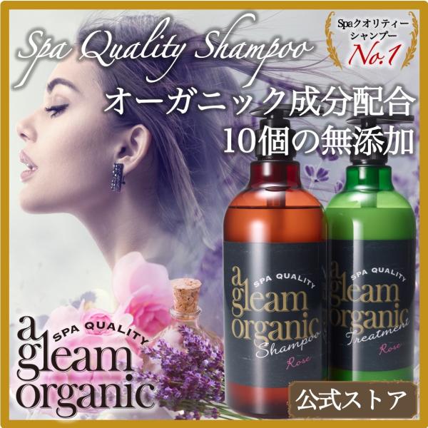 シャンプー ＆ トリートメント セット 【 スパ品質 ホホバオイル 配合】 a gleam organic ボタニカル ノンシリコン 弱酸性 アミノ酸