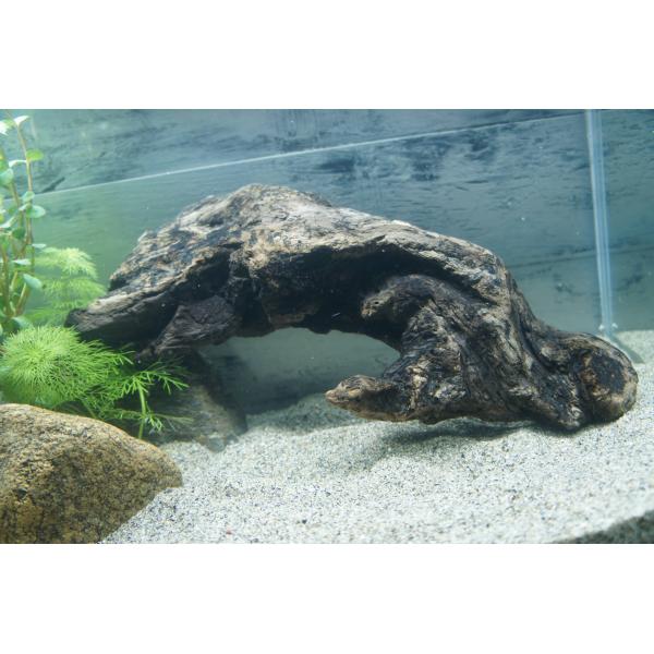 あく抜き不要！水に沈む状態でお届けします』アクアリウム 流木 あく