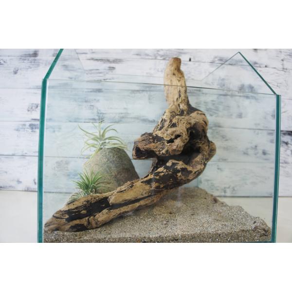 [Release date: June 3, 2025]爬虫類、昆虫の登り木　流木で飼育ケージ、水槽のレイアウトテラリウム、アクアテラリウムなどのディスプレイに本商品は洗浄、煮沸消毒、爬虫類や昆虫用としてあく抜き処理を行っております。※沈下...