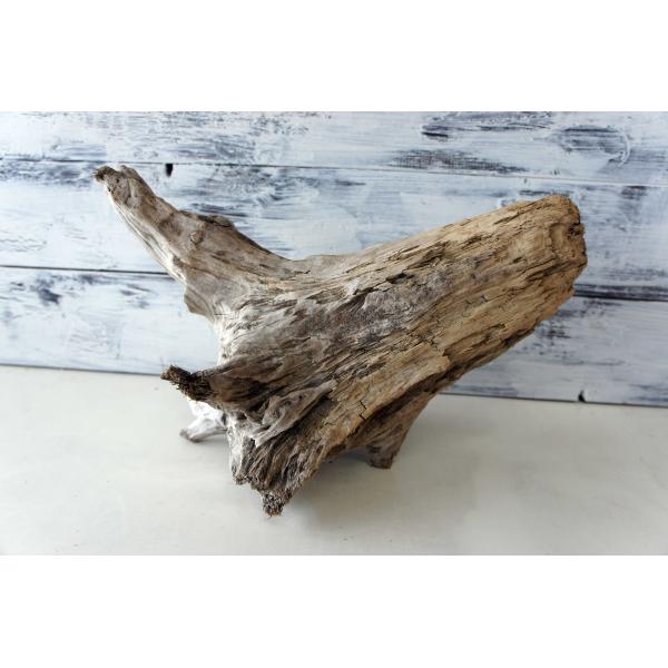 流木インテリア 秋 流木 DIY インテリア リフォーム 木材 エアプランツ 雑貨 おしゃれ