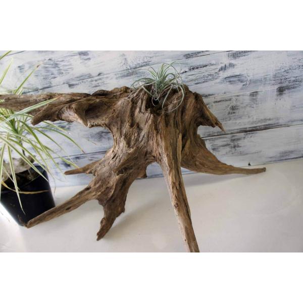 在庫有 流木 素材 ｄｉｙ インテリア 雑貨 ディスプレイ ナチュラル ガーデニング 観葉植物 止まり木 おしゃれ リフォーム リビング 2 Karatsu Switch Com