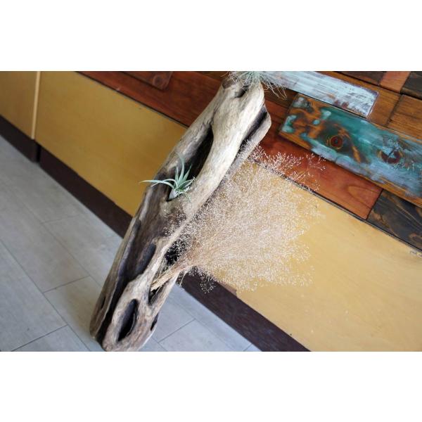 [Release date: September 25, 2020]インテリアの流木オブジェ　玄関、リビングなどの室内装飾としてカフェや店舗のディスプレイ　爬虫類、小動物等の登り木流木は洗浄、乾燥のみで一切の加工などは施しておりません。流木...