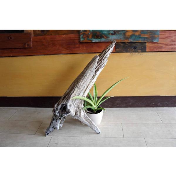 流木 大型サイズ インテリア オブジェ 爬虫類 小動物 登り木