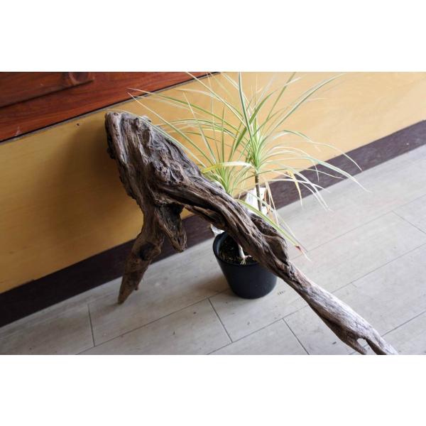 花台 華台 天然木 流木 飾り台 置物 オブジェ 楽天市場】送料無料 木の根 飾り台 W38cm 高級 花台 盆栽卓 根卓