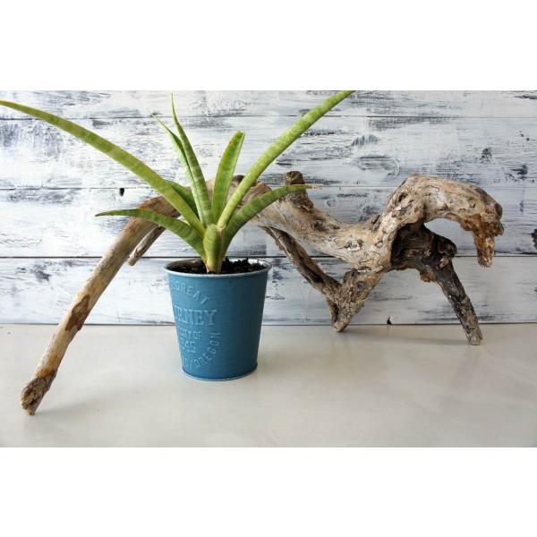 流木　インテリア　大型サイズ　送料無料　オブジェ　雑貨　ＤＩＹ　観葉植物 流木 インテリア 大型サイズ 送料無料 オブジェ 雑貨 DIY