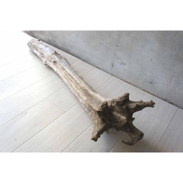 インテリア オブジェ 爬虫類 登り木 流木 おしゃれ 置物 玄関 雑貨