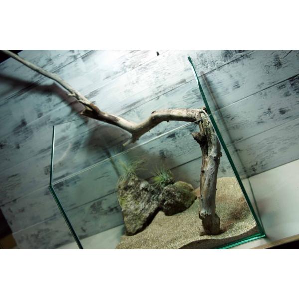[Release date: March 23, 2019]爬虫類、昆虫の登り木　流木で飼育ケージ、水槽のレイアウトテラリウム、アクアテラリウムなどのディスプレイに本商品は洗浄、煮沸消毒、爬虫類や昆虫用としてあく抜き処理を行っております。※...