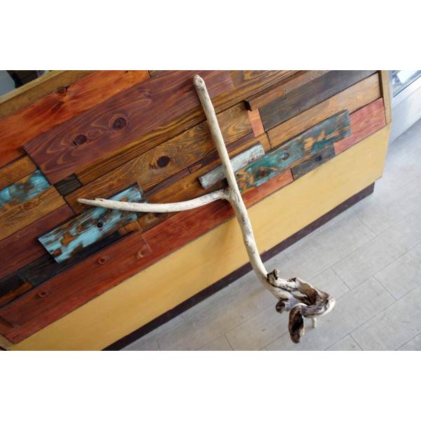 [Release date: May 2, 2021]インテリアの流木オブジェ　玄関、リビングなどの室内装飾としてカフェや店舗のディスプレイ　爬虫類、小動物等の登り木流木は洗浄、乾燥のみで一切の加工などは施しておりません。流木のみの販売とな...