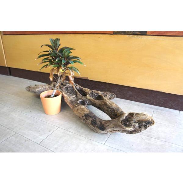 流木 大型サイズ インテリア 雑貨 観葉植物 テラリウム ガーデニング オブジェ 置物 ディスプレイ 室内装飾 爬虫類 登り木 レイアウト 093 Buyee Buyee 日本の通販商品 オークションの代理入札 代理購入