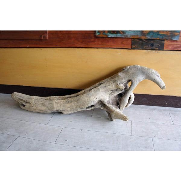 [Release date: October 9, 2020]インテリアの流木オブジェ　玄関、リビングなどの室内装飾としてカフェや店舗のディスプレイ　爬虫類、小動物等の登り木流木は洗浄、乾燥のみで一切の加工などは施しておりません。流木のみの...