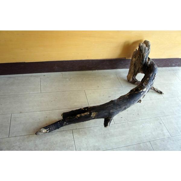 [Release date: July 21, 2021]インテリアの流木オブジェ　玄関、リビングなどの室内装飾としてカフェや店舗のディスプレイ　爬虫類、小動物等の登り木流木は洗浄、乾燥のみで一切の加工などは施しておりません。流木のみの販売...